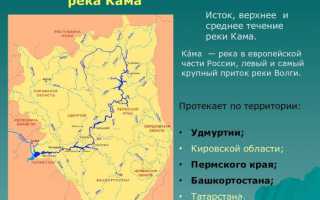 На пути к Азовскому морю, или куда впадает река Дон