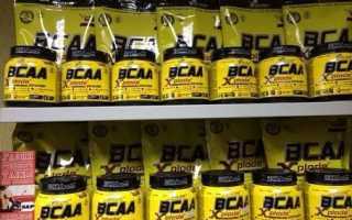 BCAA Xplode от Olimp