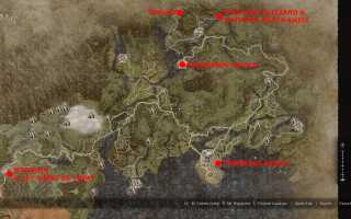 Как получить учение Мастера в Dragon’s Dogma 2 для успешной игры