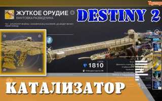 Destiny 2 Microcosm — как его получить, катализатор и льготы, полезные советы