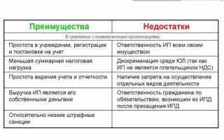 Неотделимы друг от друга, в чем заключаются плюсы и минусы паровой машины