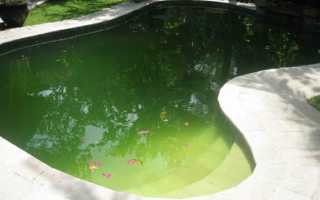 Как правильно использовать коагулянты для очистки воды?