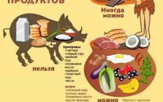 Палео диета: стоит ли питаться как первобытный человек?