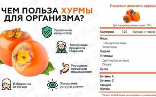 Киви – экзотическое удовольствие, которое полезно для организма