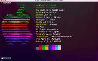 Как настроить подсказку zsh в терминале macOS для удобства работы