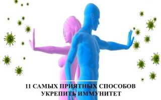 Почему иммунитет не нужно укреплять и вообще трогать: 4 мифа, в которые, увы, все верят