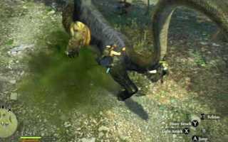 Dragon’s Dogma 2: Можно ли отрубить химере хвост в игре?