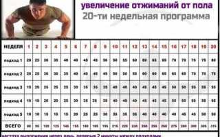 Как часто нужно менять программы тренировок?