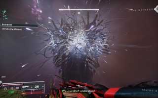 Destiny 2 Ergo Sum — как его получить, катализатор и льготы, советы и рекомендации