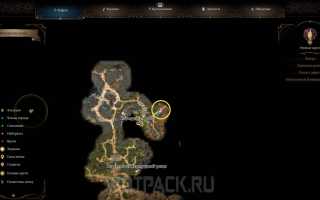 Baldur’s Gate 3: как победить гарпий и спасти Миркона в игре