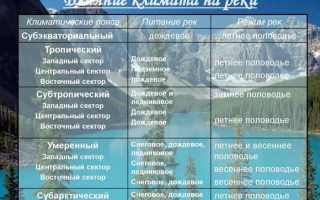 Отшумели летние дожди, или какое питание преобладает у реки Амур