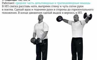 Махи гантелями в стороны стоя — техника выполнения