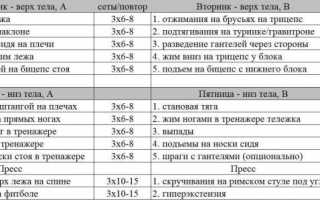Программы тренировок в тренажерном зале для мужчин — для новичков и не только