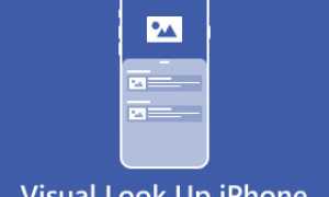 6 причин, по которым Visual Look Up может не работать на вашем iPhone, и как это исправить
