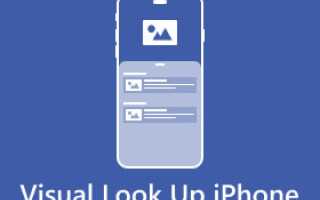 6 причин, по которым Visual Look Up может не работать на вашем iPhone, и как это исправить