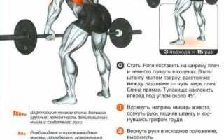 «Доброе утро» или наклоны вперед со штангой на плечах