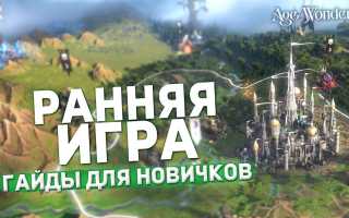 Гайд для новичков: Age of Wonders 4: как играть с друзьями и наслаждаться игрой
