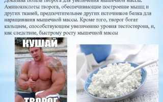 Творог в бодибилдинге